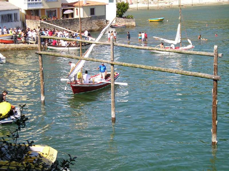 2008 VI ValaTradRedes001