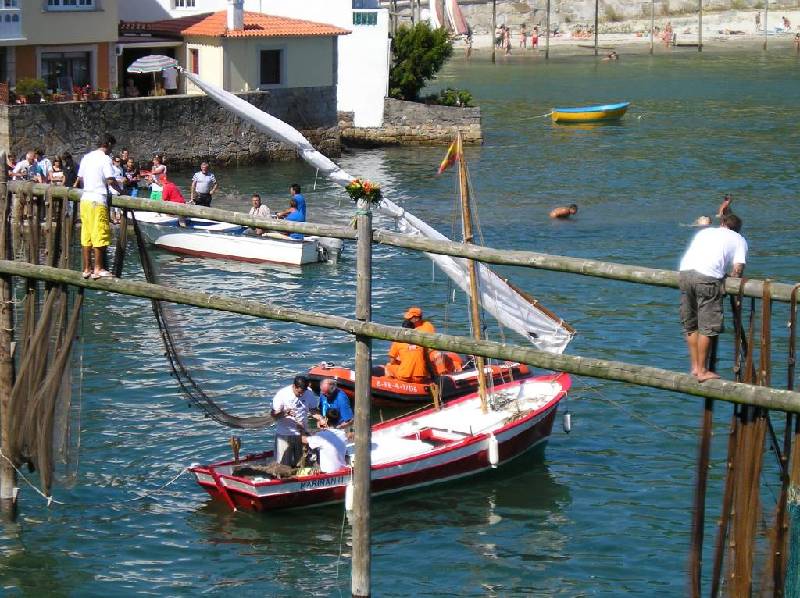 2008 VI ValaTradRedes019