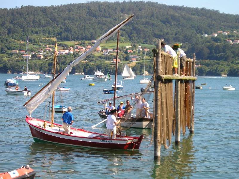 2008 VI ValaTradRedes022