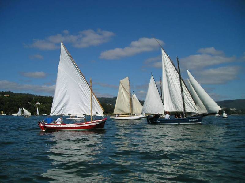 2008 VI VelaTradRedes024