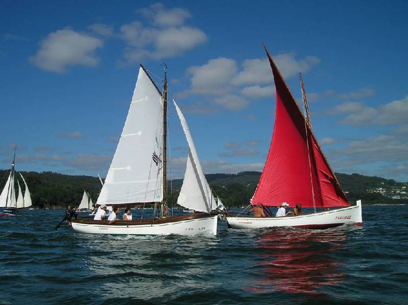 2008 VI ValaTradRedes026