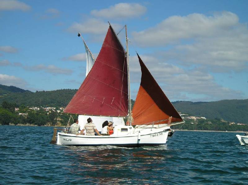 2008 VI ValaTradRedes029