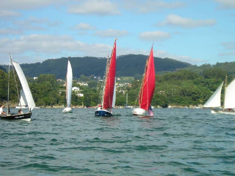 2008 VI ValaTradRedes043