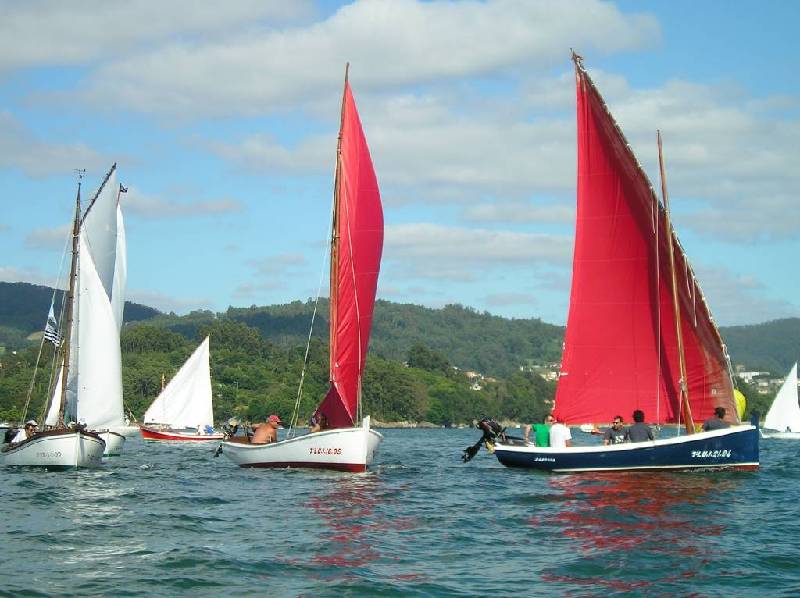 2008 VI ValaTradRedes045