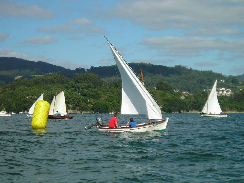 2008 VI ValaTradRedes049