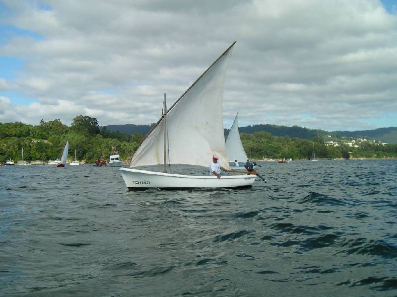 2008 VI ValaTradRedes060