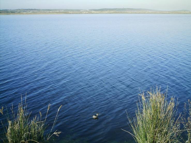 Lagoa da Frouxeira 7