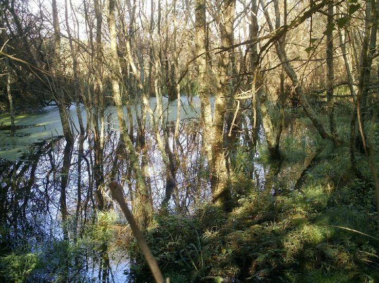 Lagoa da Frouxeira 3