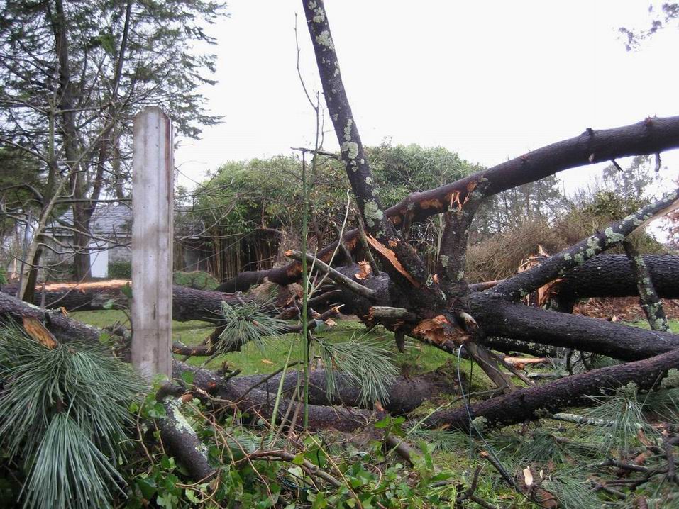 Como quedou esta finca no raso