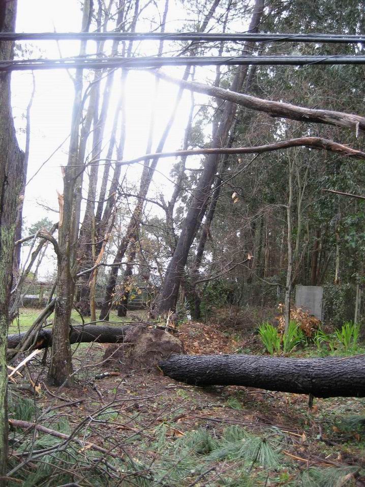 Raso despois do temporal