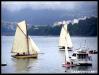 VII Regata 2009 100