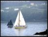 VII Regata 2009 102