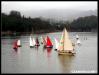 VII Regata 2009 135