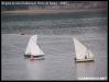 VII Regata 2009 139