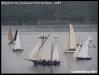 VII Regata 2009 141
