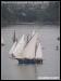 VII Regata 2009 147