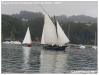 VII Regata 2009 289