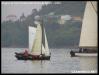 VII Regata 2009 299
