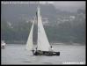 VII Regata 2009 329