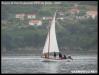 VII Regata 2009 340