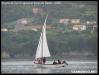 VII Regata 2009 342