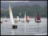 VII Regata 2009 352