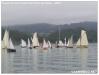 VII Regata 2009 366