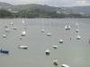 I Regata Vela Tradicional 2003 016