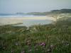 Ferrol. Praia de Doniños
